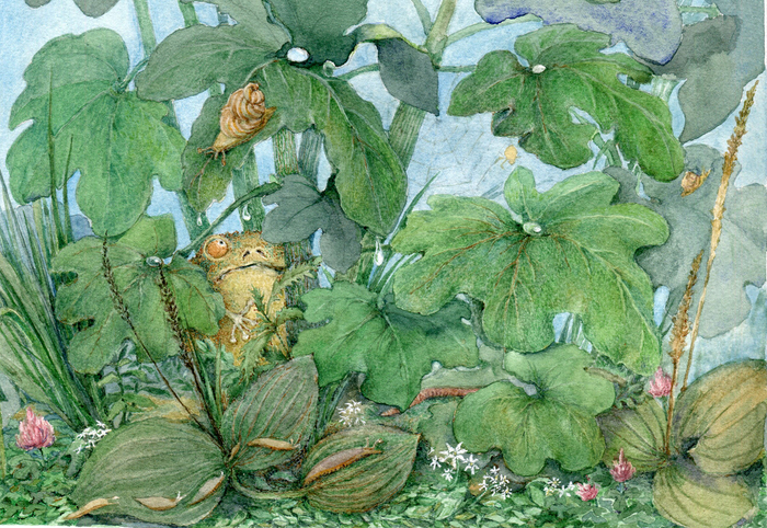 дождливое лето