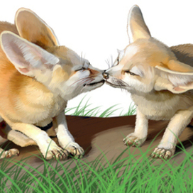 Иллюстрация для книги Брема «Жизнь животных» «Лисички»