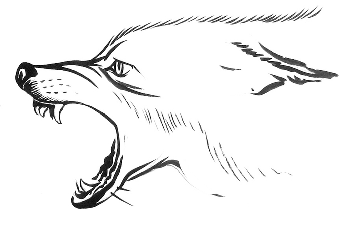 Нападающий волк