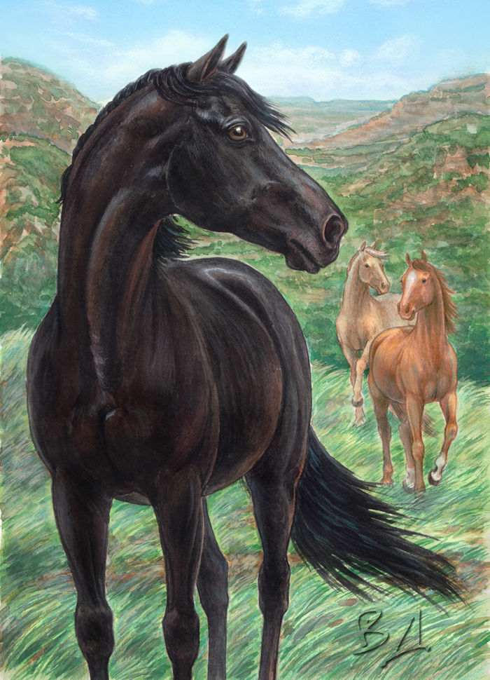 Мустанг-иноходец