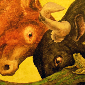 Два быка и лягушка