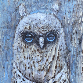 owl