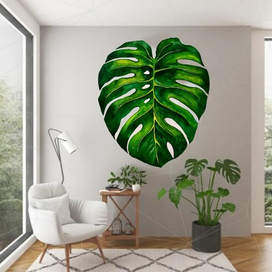 Monstera