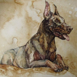 Кофейный доберман