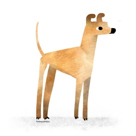 дворняжка 3