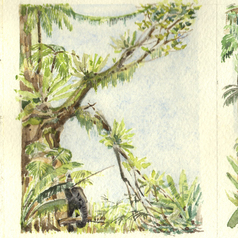 Буквицы к "Книге джунглей"