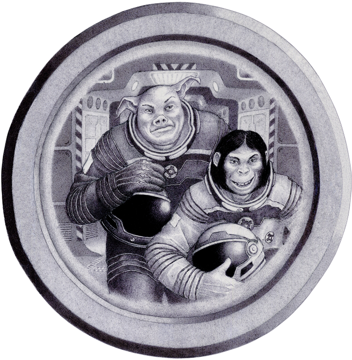 Перед посадкой. Где-то в далекой галактике.