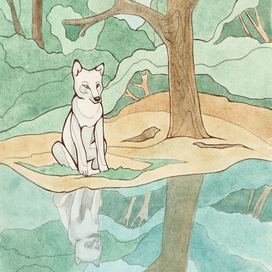 Юность Белого Клыка. Иллюстрация к повести Д. Лондона "Белый Клык"