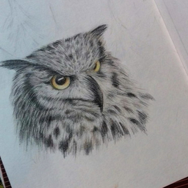 без_названия_6