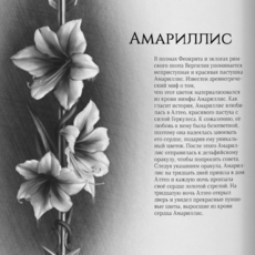 Амариллис | Flowers of Greece | SKETCHBOOK