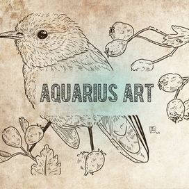 Иллюстрации 