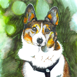 Друг человека