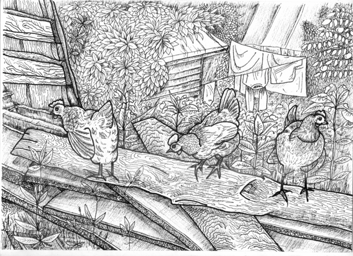 Ну, вот и штришочки :-). Яйлинские куры 