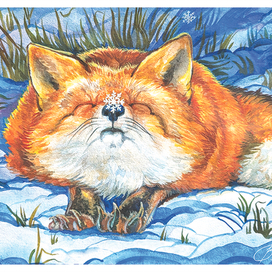 Winter Fox