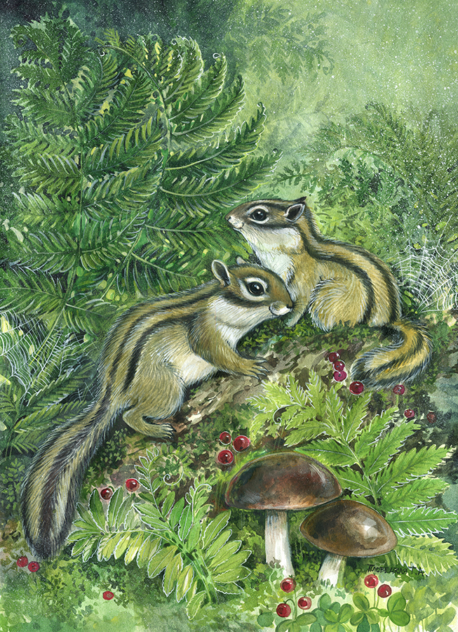 Два бурундука