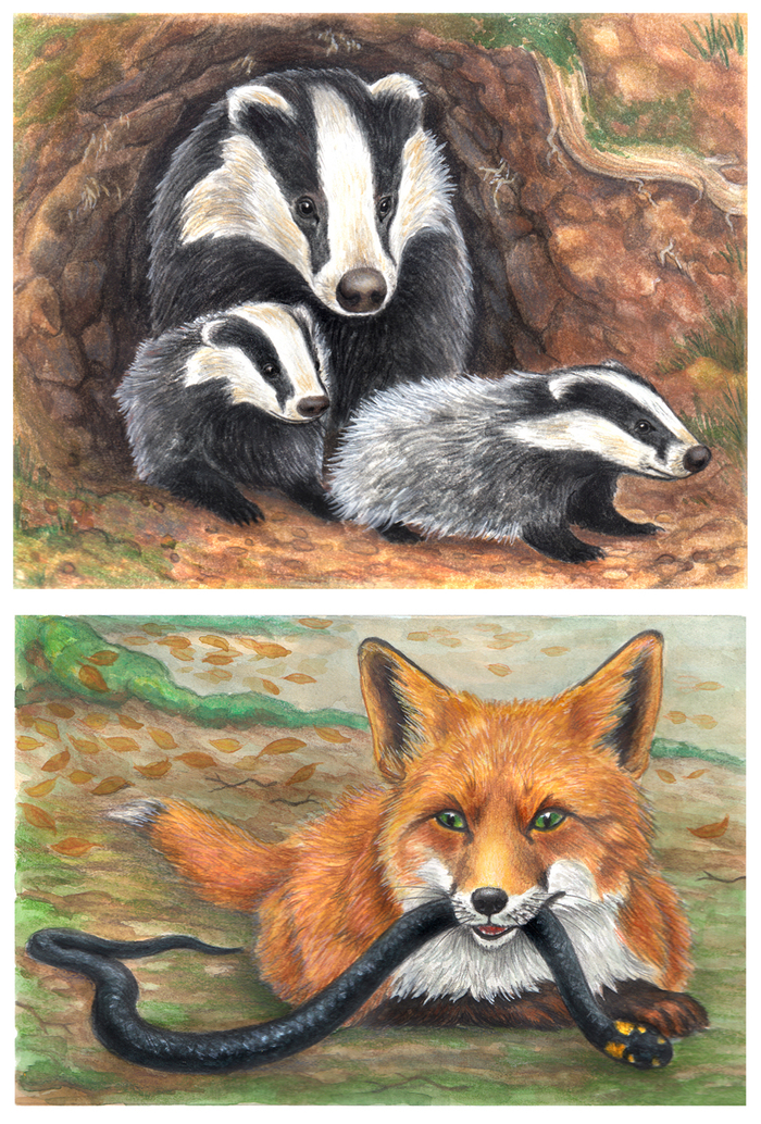 Жизнь лесная