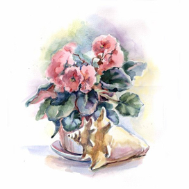 опять фиалка :)