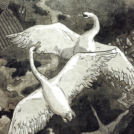 Иллюстрация 5 из серии "Дочь болотного царя"