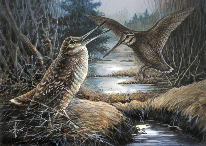 Звали ? Я здесь ..!!!