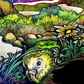 Новая Зеландия