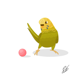 ВОлнистый попугайчик