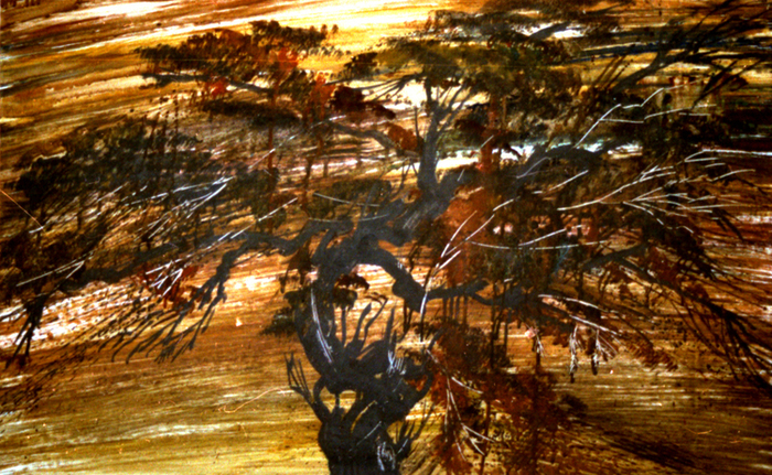 Дерево света