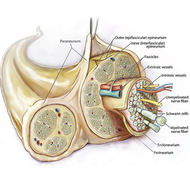 Инфографика