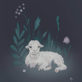 Овечка для почтовой открытки