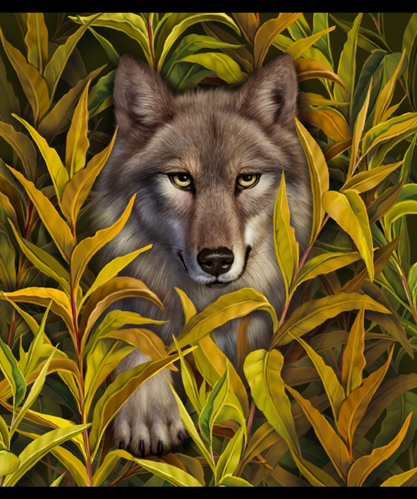 Серенький волчок