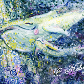 Снежные киты