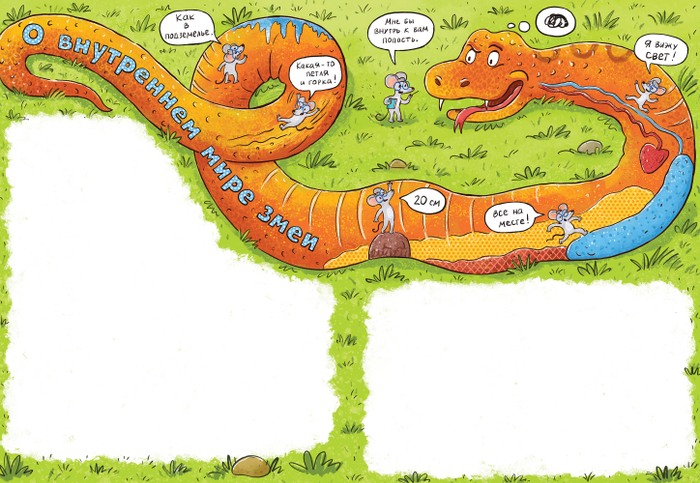 О внутреннем мире змеи