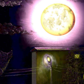 Волк и луна