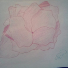 А у нас уже весна начинается🌸🌺🌸