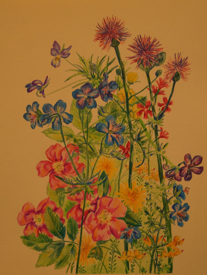 Иллюстрация книги Ю.Маслова Пряник для слона