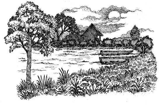 А. ФЕТ. стихотворения.