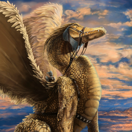 Принц и дракон