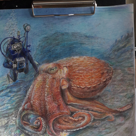 Осьминог 