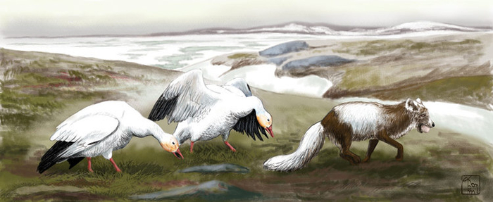 Стой, ворюга!