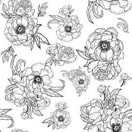 Контурный паттерн пионы