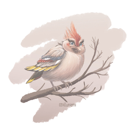 Птичка на ветке, свиристель