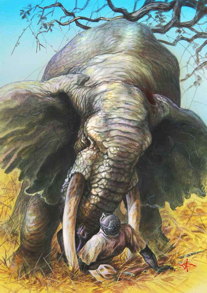 Бвана, стреляй...!