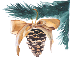 Шишка на ветке