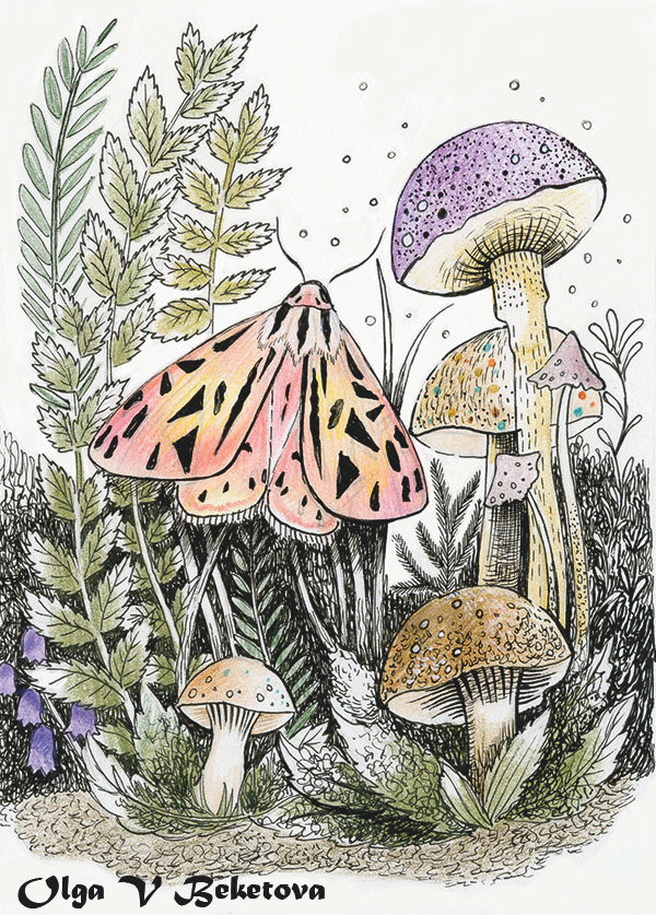 Осеннее утро.