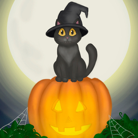Halloween Cat