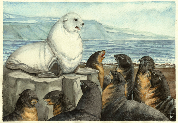 "Белый котик"