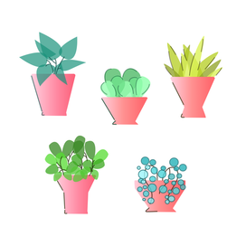 Plants