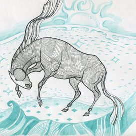 Морская лошадь