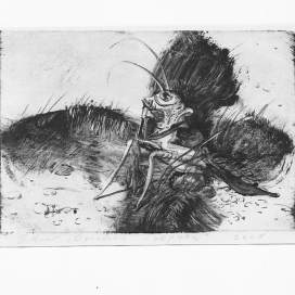 Одинокий сверчок