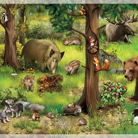 Иллюстрации для книги про животных. В лесу