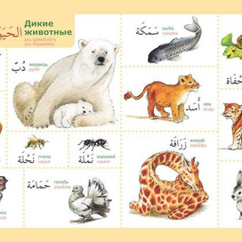 Мама! Я арабусик! (8)